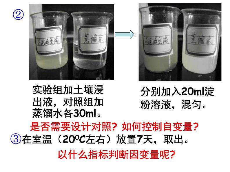 5.3-探究 土壤微生物的分解作用 课件07