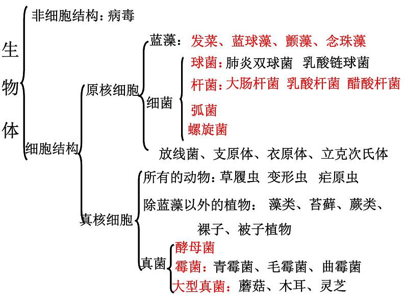 4.2 探究-培养液中酵母菌种群数量的变化 课件02