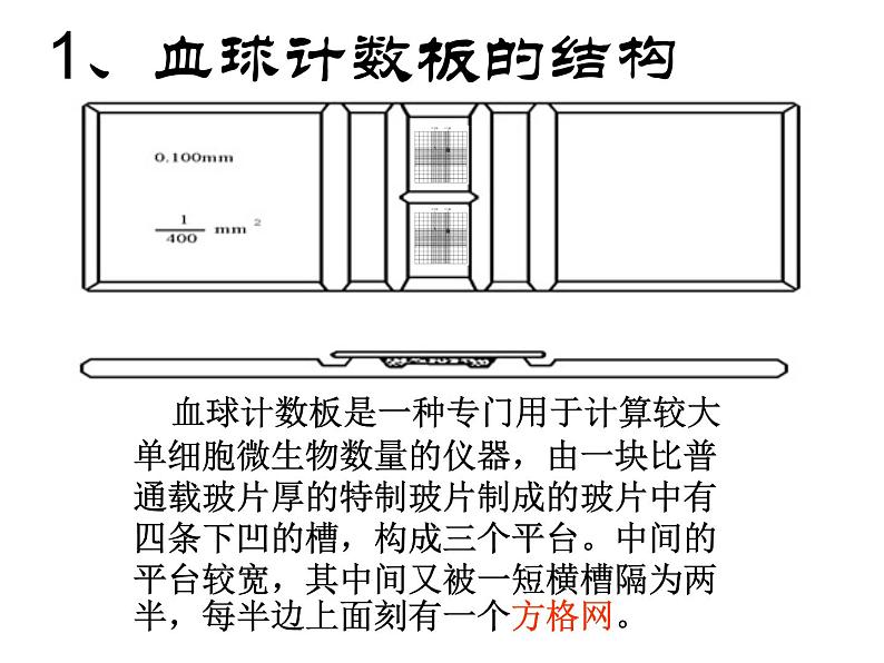 4.2 探究-培养液中酵母菌种群数量的变化 课件06