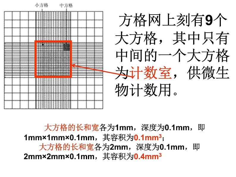 4.2 探究-培养液中酵母菌种群数量的变化 课件08