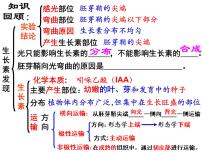 高中生物第2节 生长素的生理作用图片课件ppt