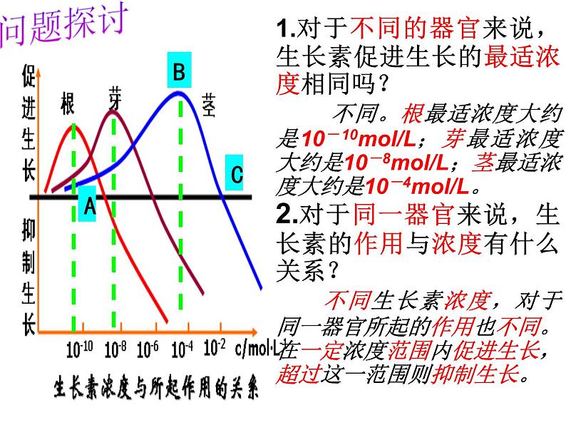 3.2 植物生长素的生理作用(1) 课件03