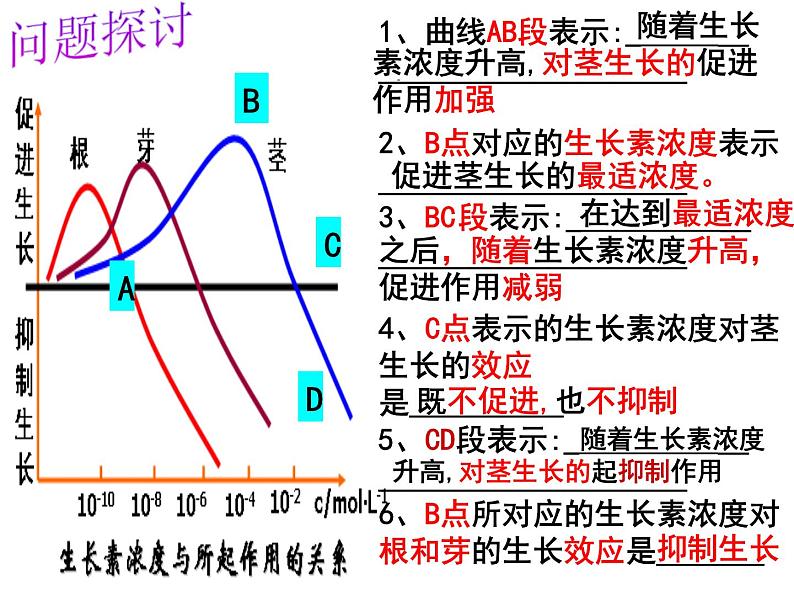 3.2 植物生长素的生理作用(1) 课件04