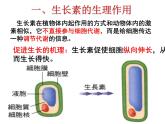 3.2 植物生长素的生理作用(1) 课件