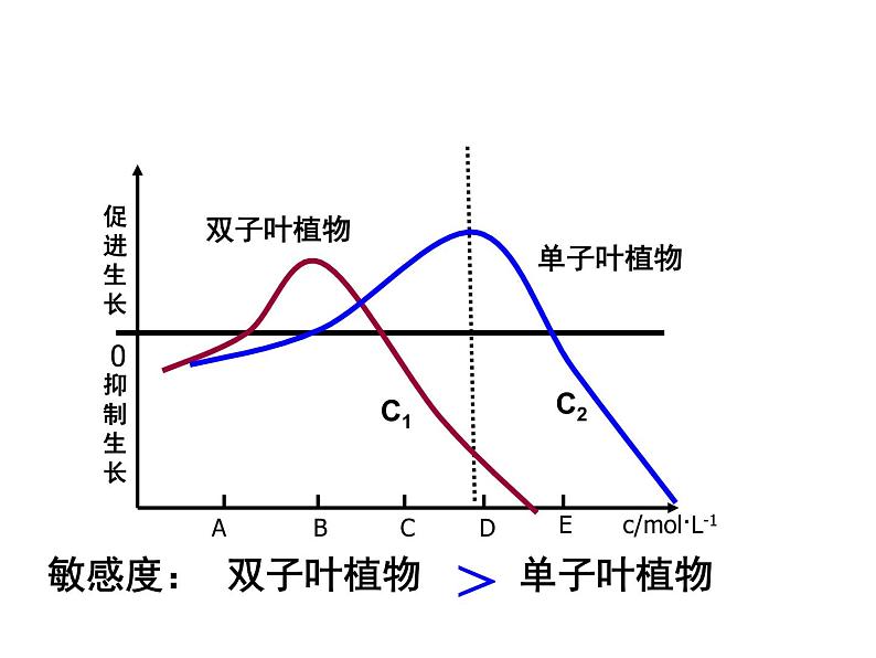 3.2 植物生长素的生理作用(1) 课件08