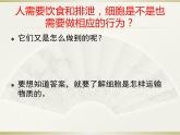 4.1被动运输 课件
