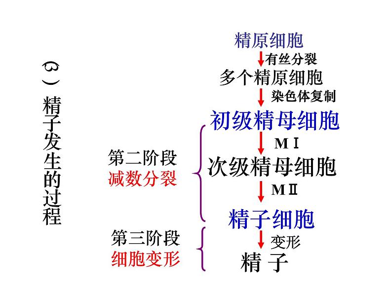 人教版高中生物选修三专题三3.1体内受精和早期胚胎发育课件共29张PPT06