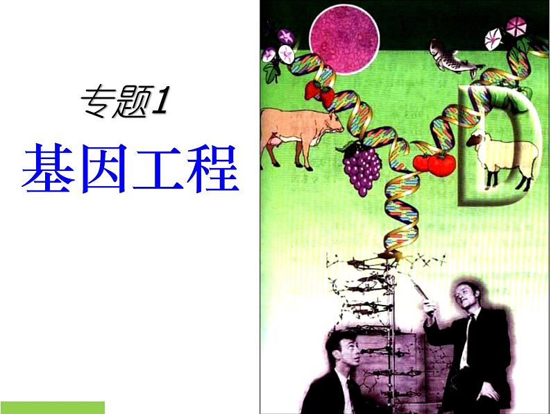 人教版生物选修三专题一 基因工程 课件（共19张PPT）海南省文昌中学-韩冰茹（共19张PPT）01