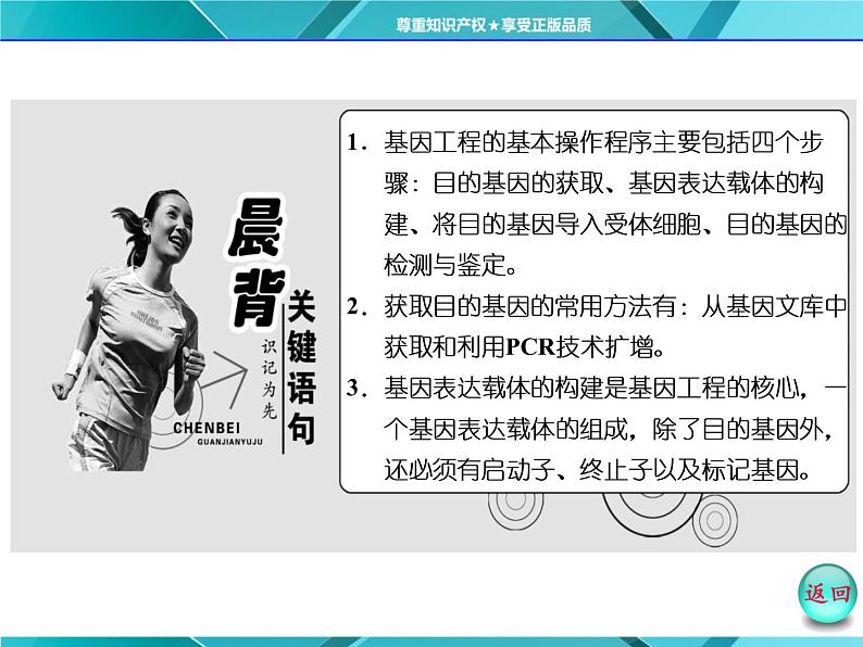 人教版选修3课件 第1部分 专题1 1.2 基因工程的基本操作程序03