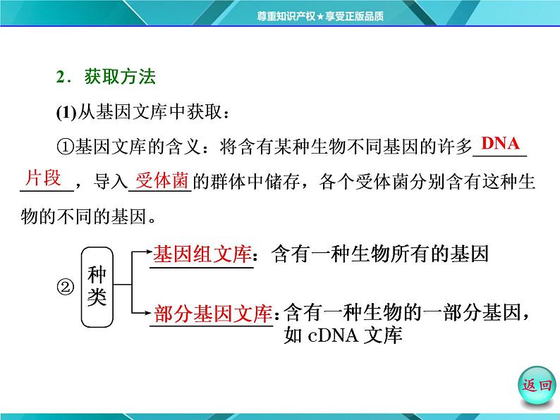 人教版选修3课件 第1部分 专题1 1.2 基因工程的基本操作程序06