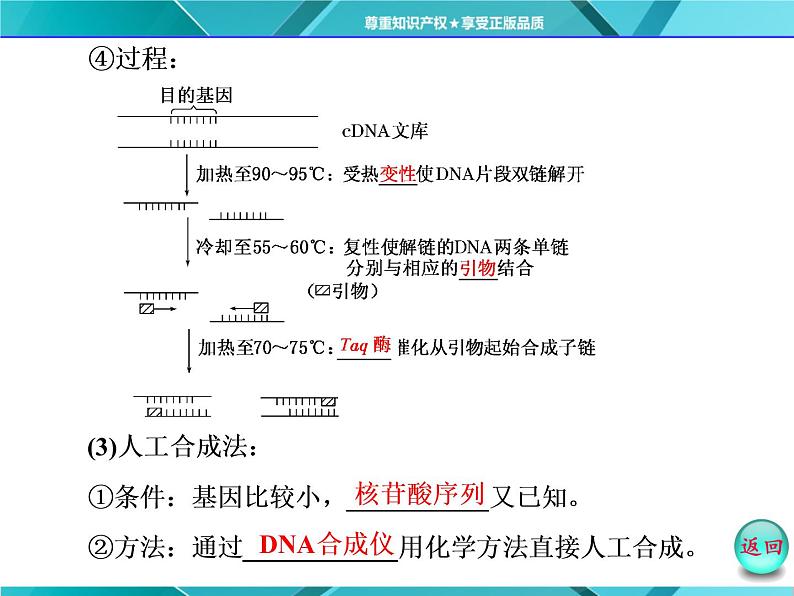 人教版选修3课件 第1部分 专题1 1.2 基因工程的基本操作程序08