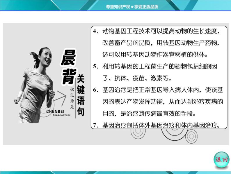 人教版选修3课件 第1部分 专题1 1.3 基因工程的应用04