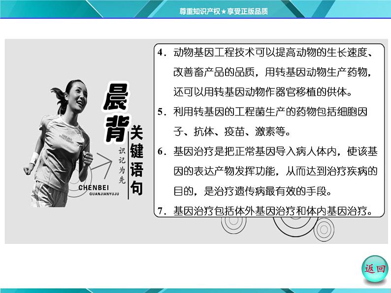 人教版选修3课件 第1部分 专题1 1.3 基因工程的应用04