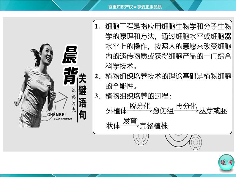 人教版选修3课件 第1部分 专题2 2.1 2.1.1 植物细胞工程的基本技术03