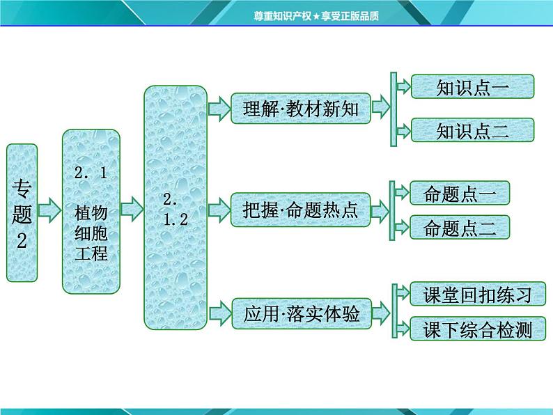 人教版选修3课件 第1部分 专题2 2.1 2.1.2 植物细胞工程的实际应用01