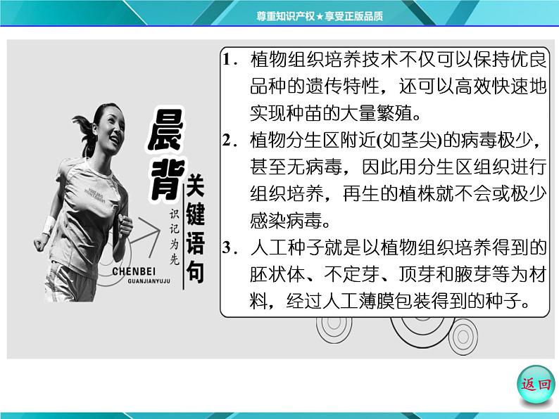 人教版选修3课件 第1部分 专题2 2.1 2.1.2 植物细胞工程的实际应用03