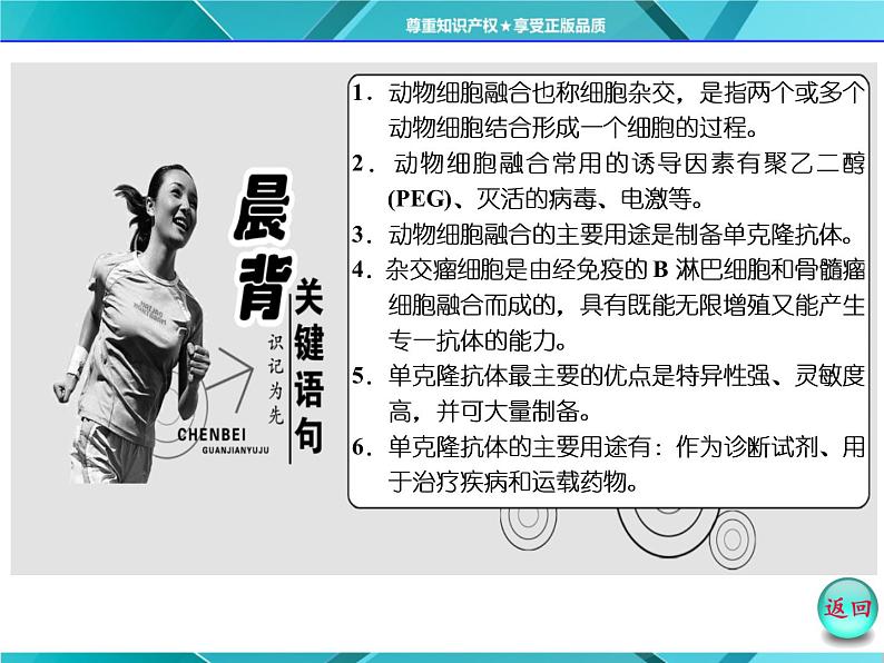 人教版选修3课件 第1部分 专题2 2.2 2.2.2 动物细胞融合与单克隆抗体03