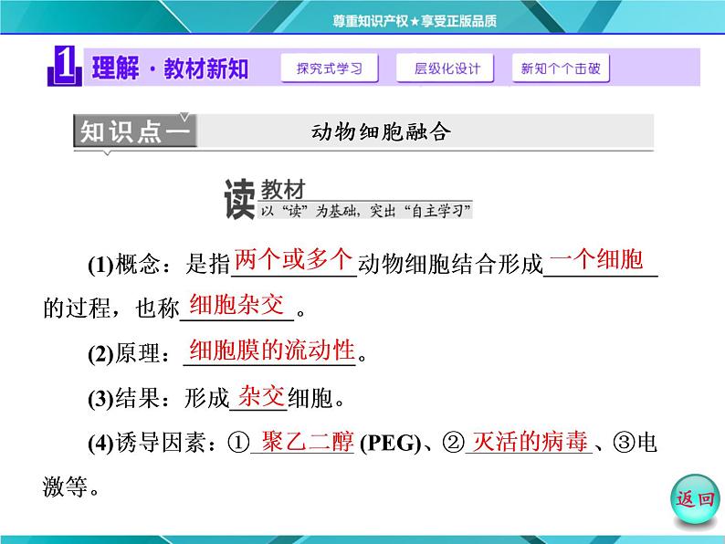 人教版选修3课件 第1部分 专题2 2.2 2.2.2 动物细胞融合与单克隆抗体04