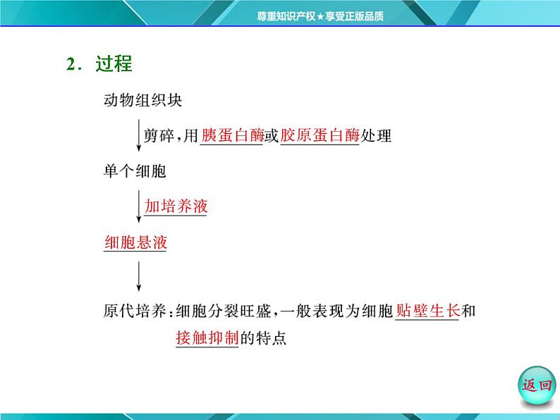 人教版选修3课件 第1部分 专题2 2.2 2.2.1 动物细胞培养和核移植技术05