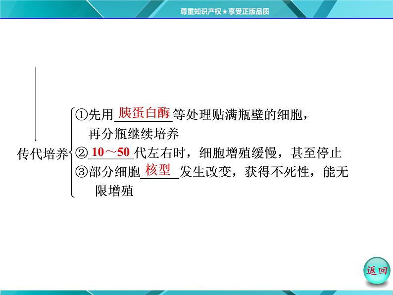 人教版选修3课件 第1部分 专题2 2.2 2.2.1 动物细胞培养和核移植技术06