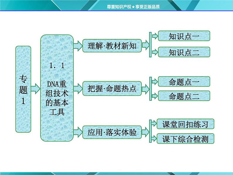 人教版选修3课件 第1部分 专题1 1.1 DNA重组技术的基本工具02