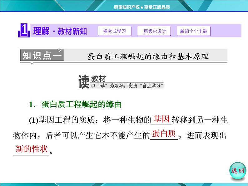 人教版选修3课件 第1部分 专题1 1.4 蛋白质工程的崛起05