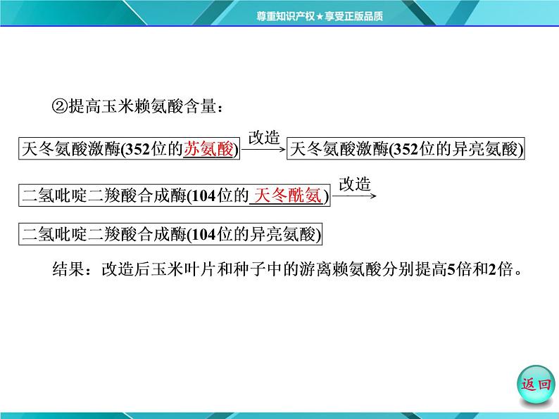 人教版选修3课件 第1部分 专题1 1.4 蛋白质工程的崛起07