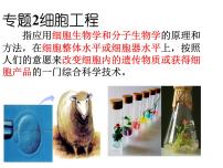 高中生物人教版 (新课标)选修3《现代生物科技专题》本节综合教案配套ppt课件