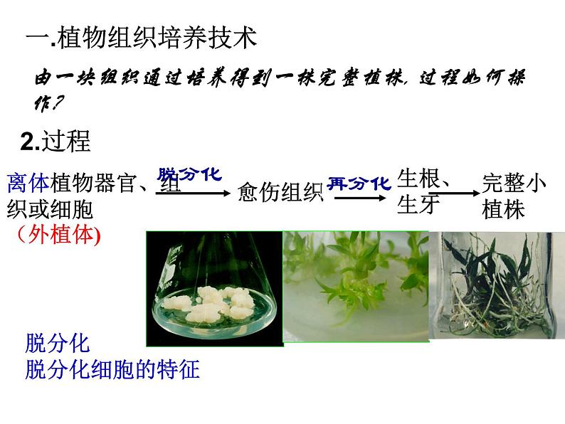 专题2细胞工程2.1 课件03