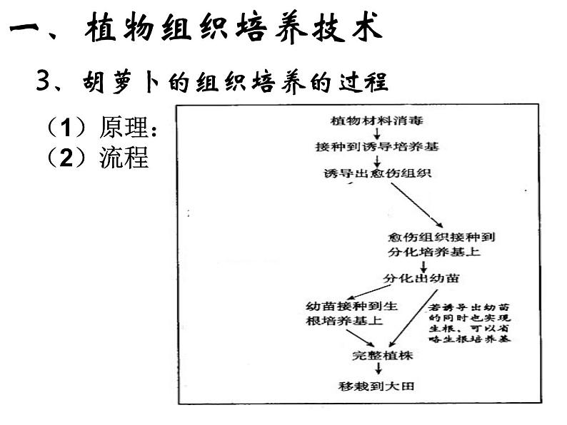 专题2细胞工程2.1 课件04