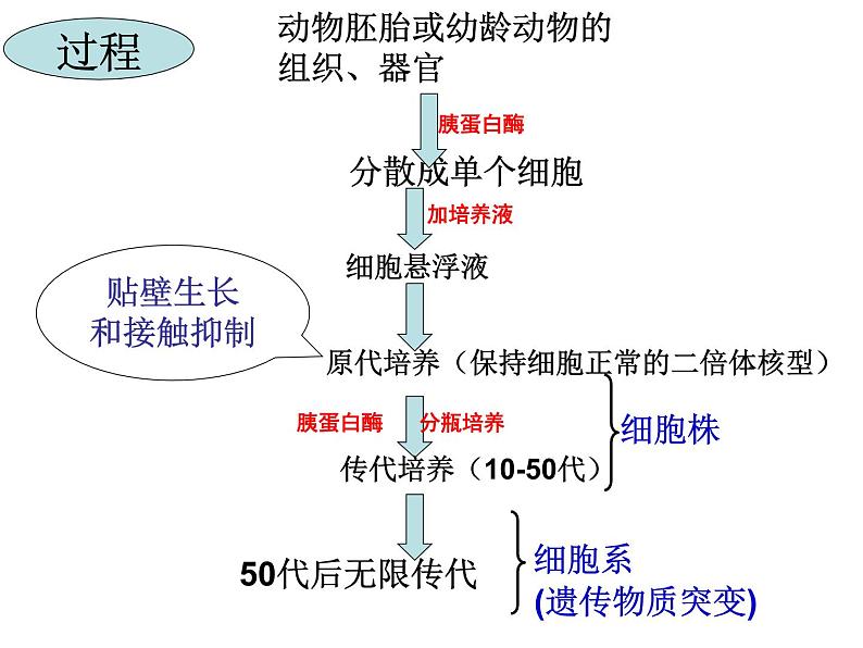 专题2细胞工程稿 课件05