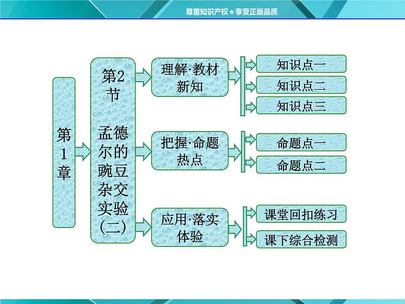 人教版必修2课件 第1章 第2节 孟德尔胡豌豆杂交试验(二)01