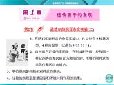 人教版必修2课件 第1章 第2节 孟德尔胡豌豆杂交试验(二)