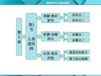 生物必修2《遗传与进化》第3节 人类遗传病教课课件ppt