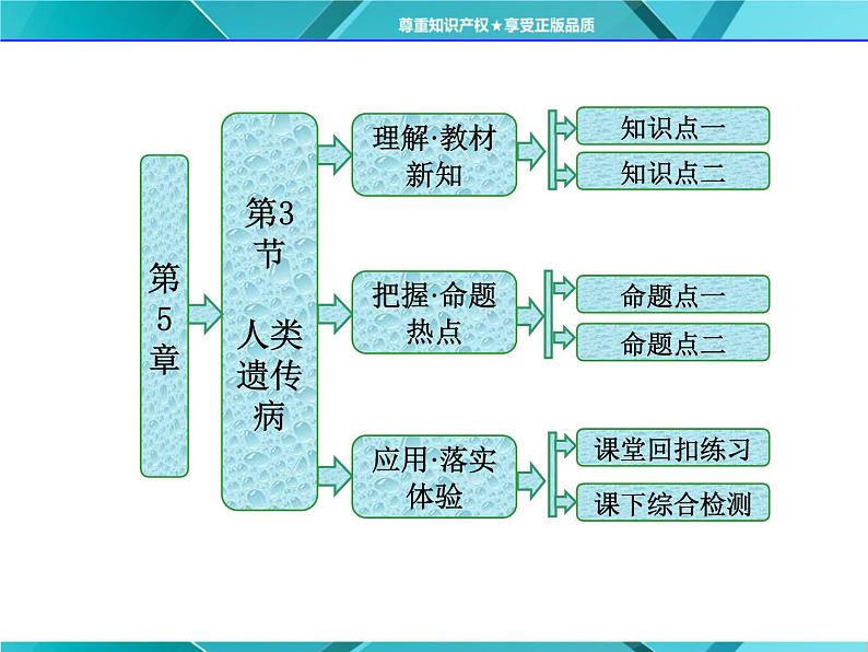 人教版必修2课件 第5章 第3节 人类遗传病01