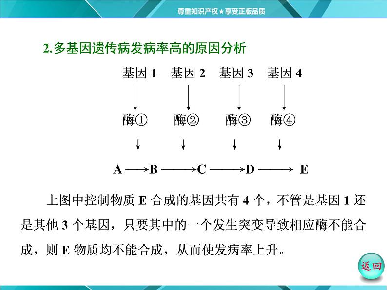 人教版必修2课件 第5章 第3节 人类遗传病08