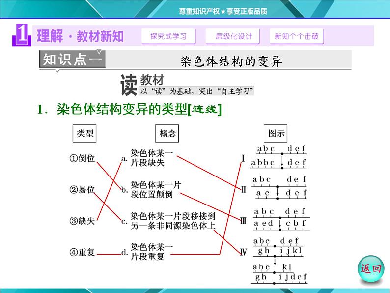 人教版必修2课件 第5章 第2节 染色体变异第3页