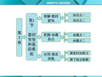 人教版 (新课标)必修2《遗传与进化》第五章 基因突变及其他变异第1节 基因突变和基因重组课文配套课件ppt