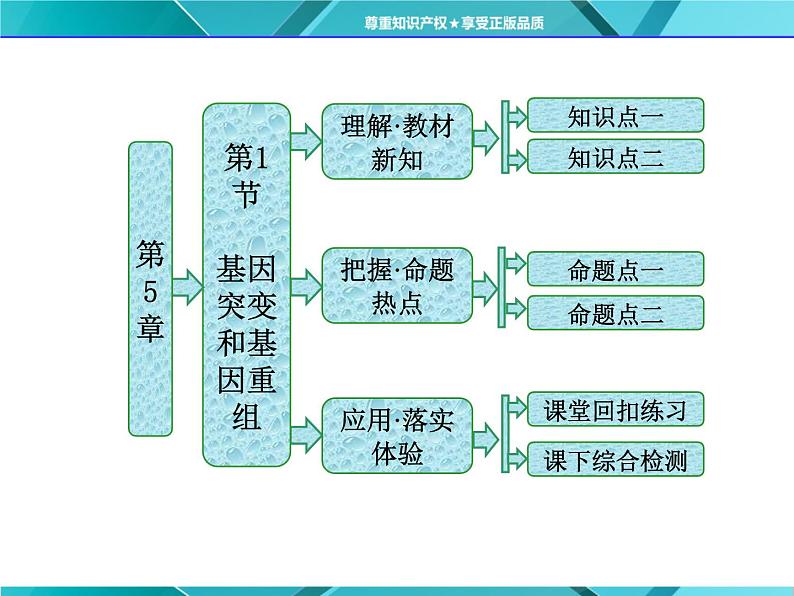 人教版必修2课件 第5章 第1节 基因突变和基因重组第1页