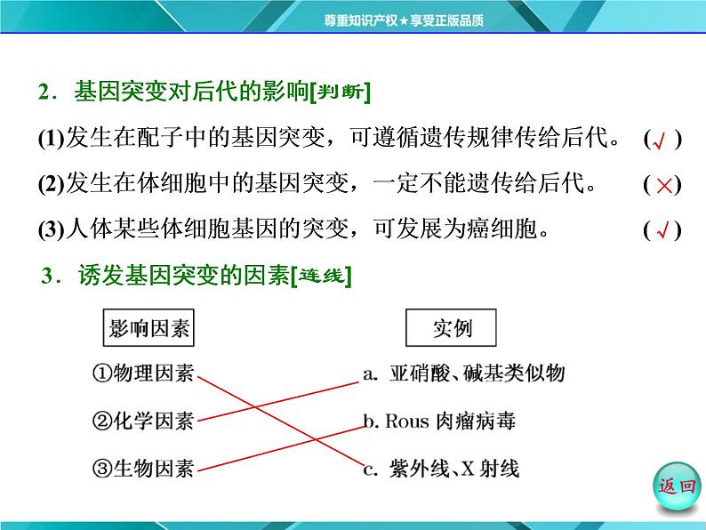 人教版必修2课件 第5章 第1节 基因突变和基因重组第5页