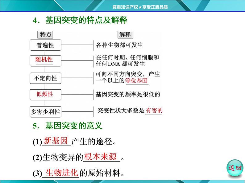 人教版必修2课件 第5章 第1节 基因突变和基因重组第6页