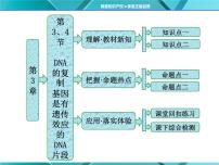 高中生物人教版 (新课标)必修2《遗传与进化》第三章 基因的本质综合与测试说课ppt课件