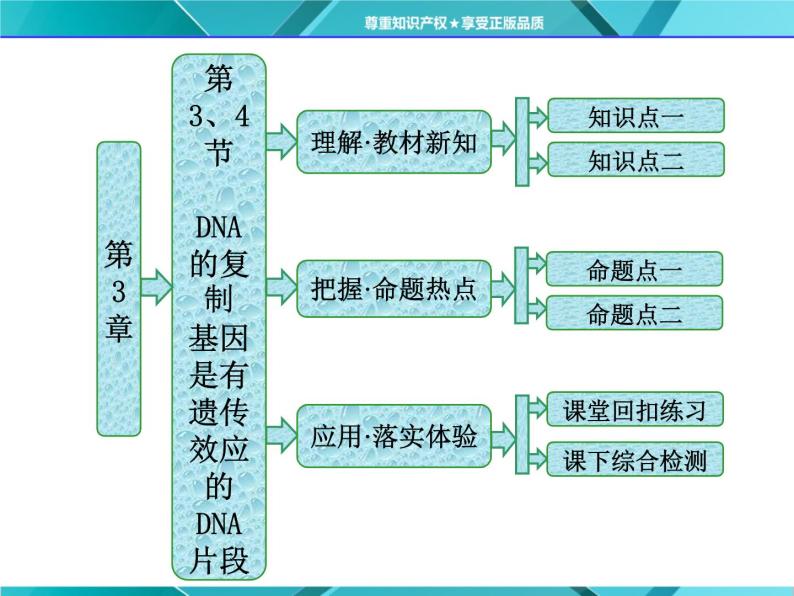 人教版必修2课件 第3章 第3、4节 DNA的复制 基因是有遗传效应的DNA片段01