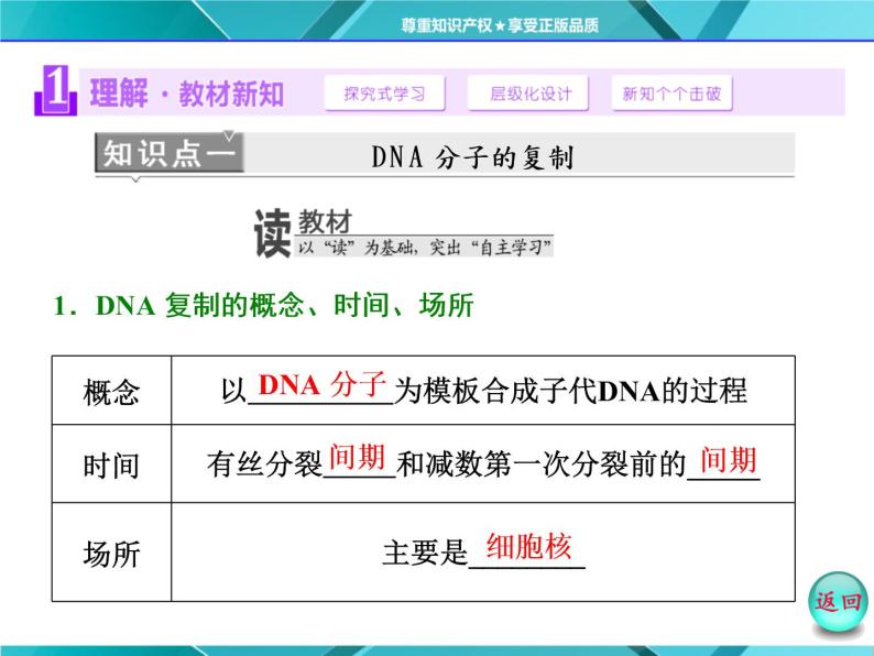 人教版必修2课件 第3章 第3、4节 DNA的复制 基因是有遗传效应的DNA片段03