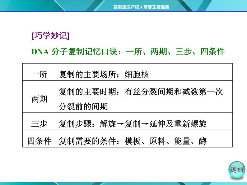 人教版必修2课件 第3章 第3、4节 DNA的复制 基因是有遗传效应的DNA片段06