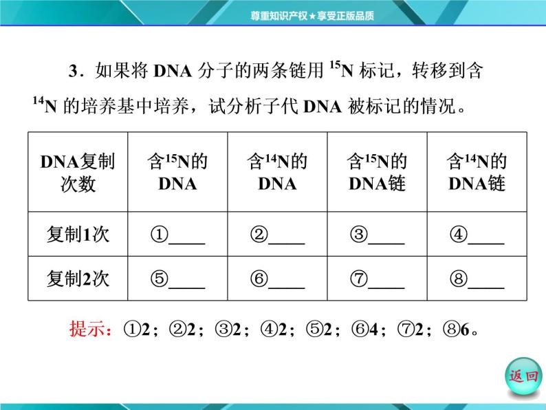 人教版必修2课件 第3章 第3、4节 DNA的复制 基因是有遗传效应的DNA片段08
