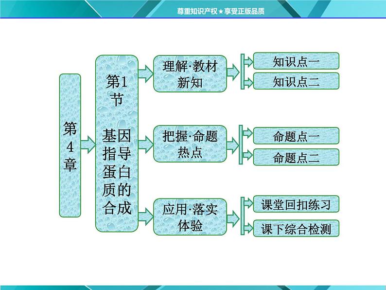 人教版必修2课件 第4章 第1节 基因指导蛋白质的合成01