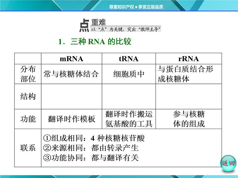 人教版必修2课件 第4章 第1节 基因指导蛋白质的合成08