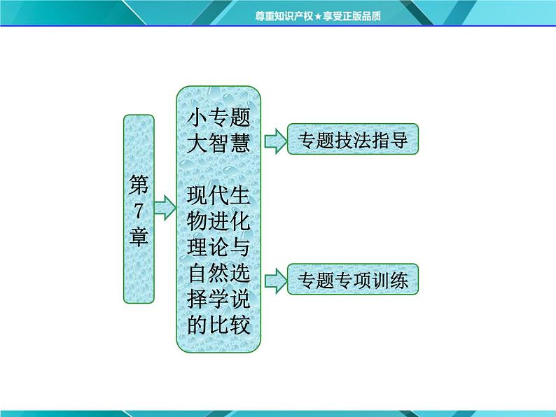 人教版必修2课件 第7章 小专题 大智慧 现代生物进化理论与自然选择学说的比较01