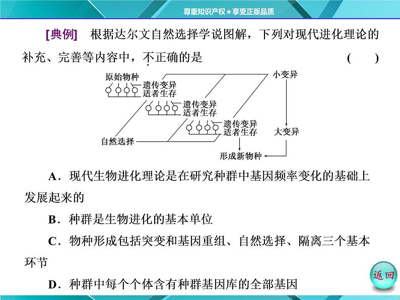 人教版必修2课件 第7章 小专题 大智慧 现代生物进化理论与自然选择学说的比较06